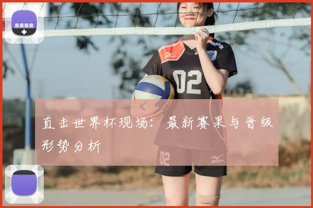 直击世界杯现场：最新赛果与晋级形势分析