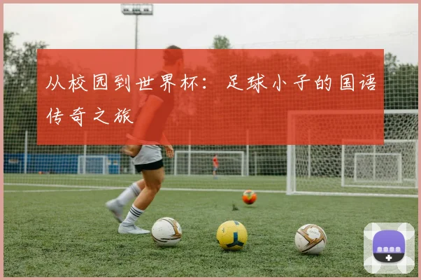 从校园到世界杯：足球小子的国语传奇之旅