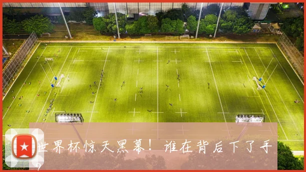 世界杯惊天黑幕！谁在背后下了手？