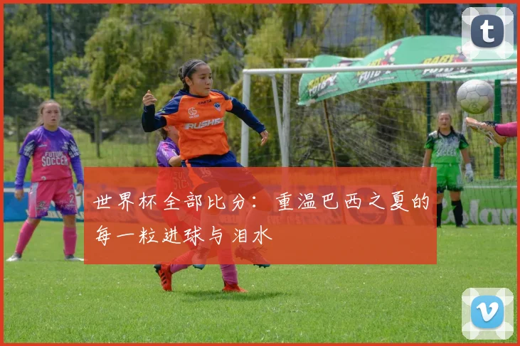 世界杯全部比分:重温巴西之夏的每一粒进球与泪水