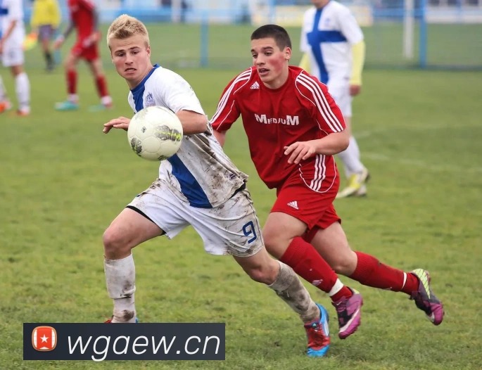 App Interface Preview