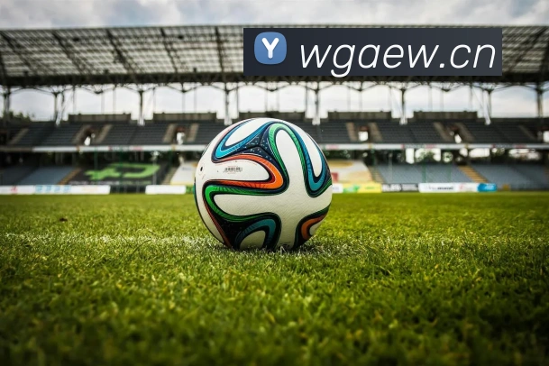 乐鱼在线登录-首页APP 封面图